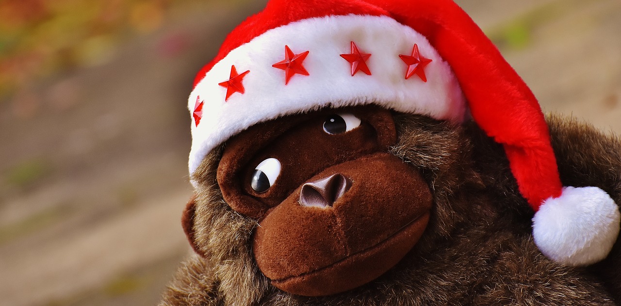 Kalėdos, Santa Skrybėlė, Iškamša, Minkštas Žaislas, Beždžionė, Gorila, Nemokamos Nuotraukos,  Nemokama Licenzija