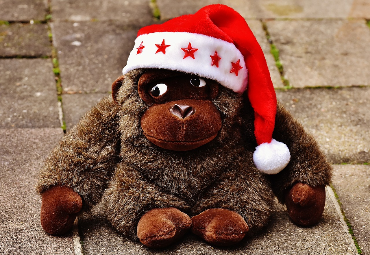 Kalėdos, Santa Skrybėlė, Iškamša, Minkštas Žaislas, Beždžionė, Gorila, Nemokamos Nuotraukos,  Nemokama Licenzija