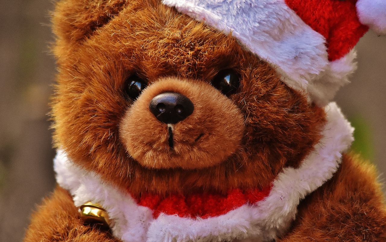 Kalėdos, Atvirukas, Teddy, Santa Skrybėlė, Pliušas, Mielas, Vaikų Žaislai, Juokinga, Minkštas Žaislas, Iškamša