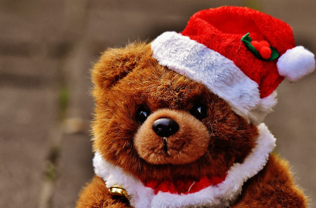 Kalėdos, Atvirukas, Teddy, Santa Skrybėlė, Pliušas, Mielas, Vaikų Žaislai, Juokinga, Minkštas Žaislas, Iškamša