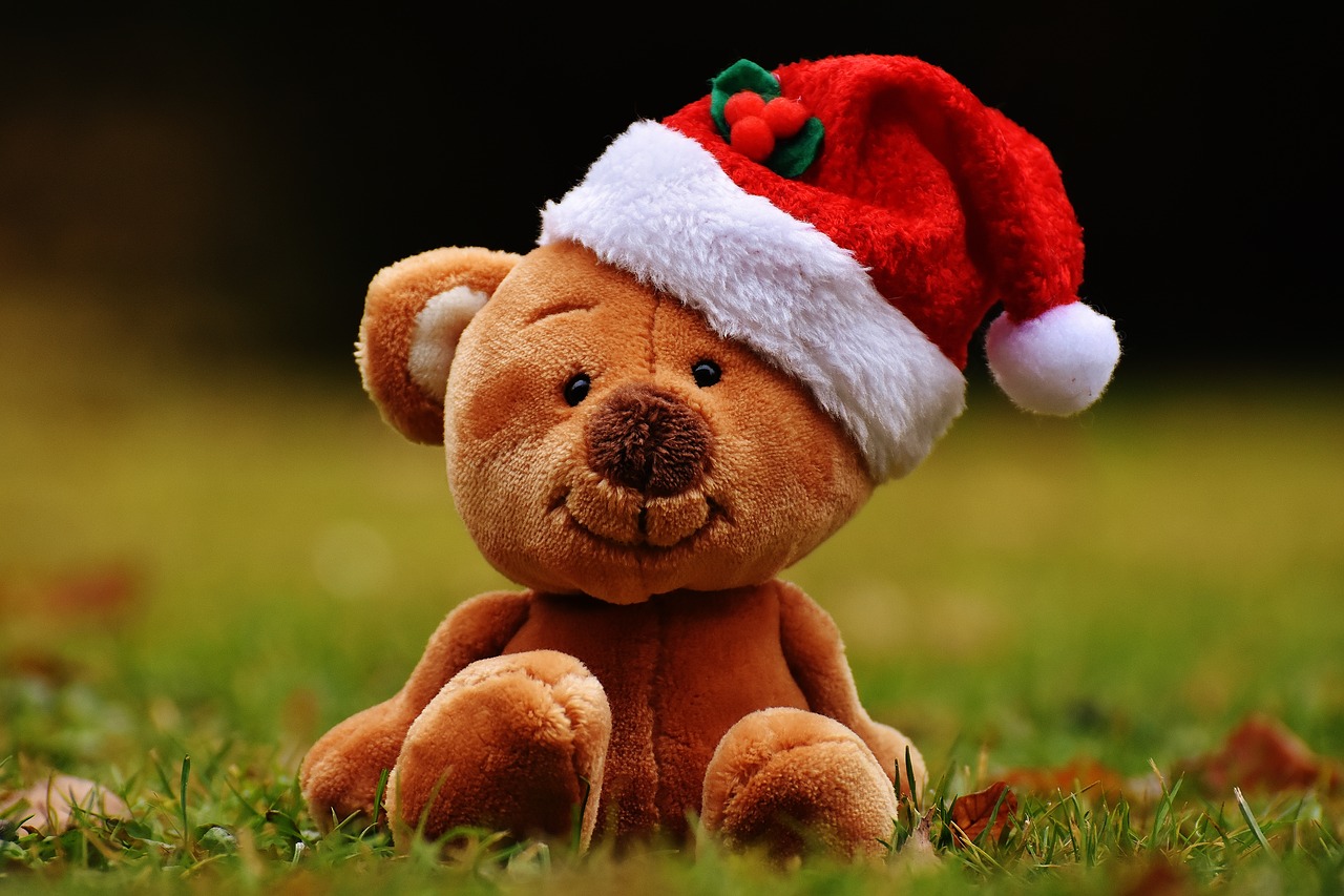 Kalėdos, Teddy, Minkštas Žaislas, Santa Skrybėlė, Juokinga, Nemokamos Nuotraukos,  Nemokama Licenzija