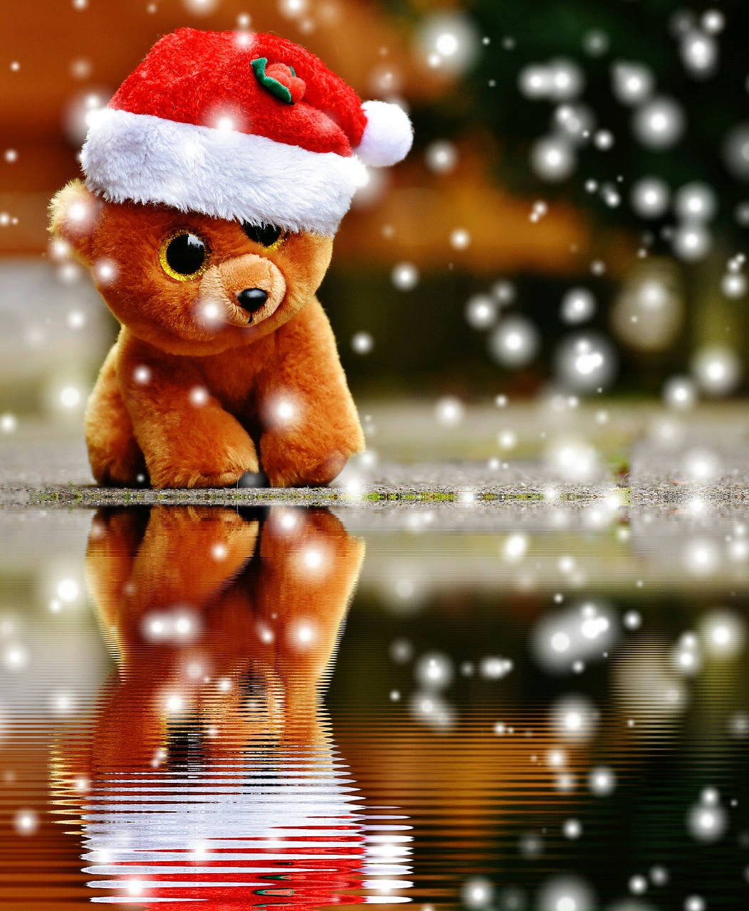 Kalėdos, Teddy, Sniegas, Vanduo, Veidrodis, Iškamša, Minkštas Žaislas, Santa Skrybėlė, Žaislai, Mielas