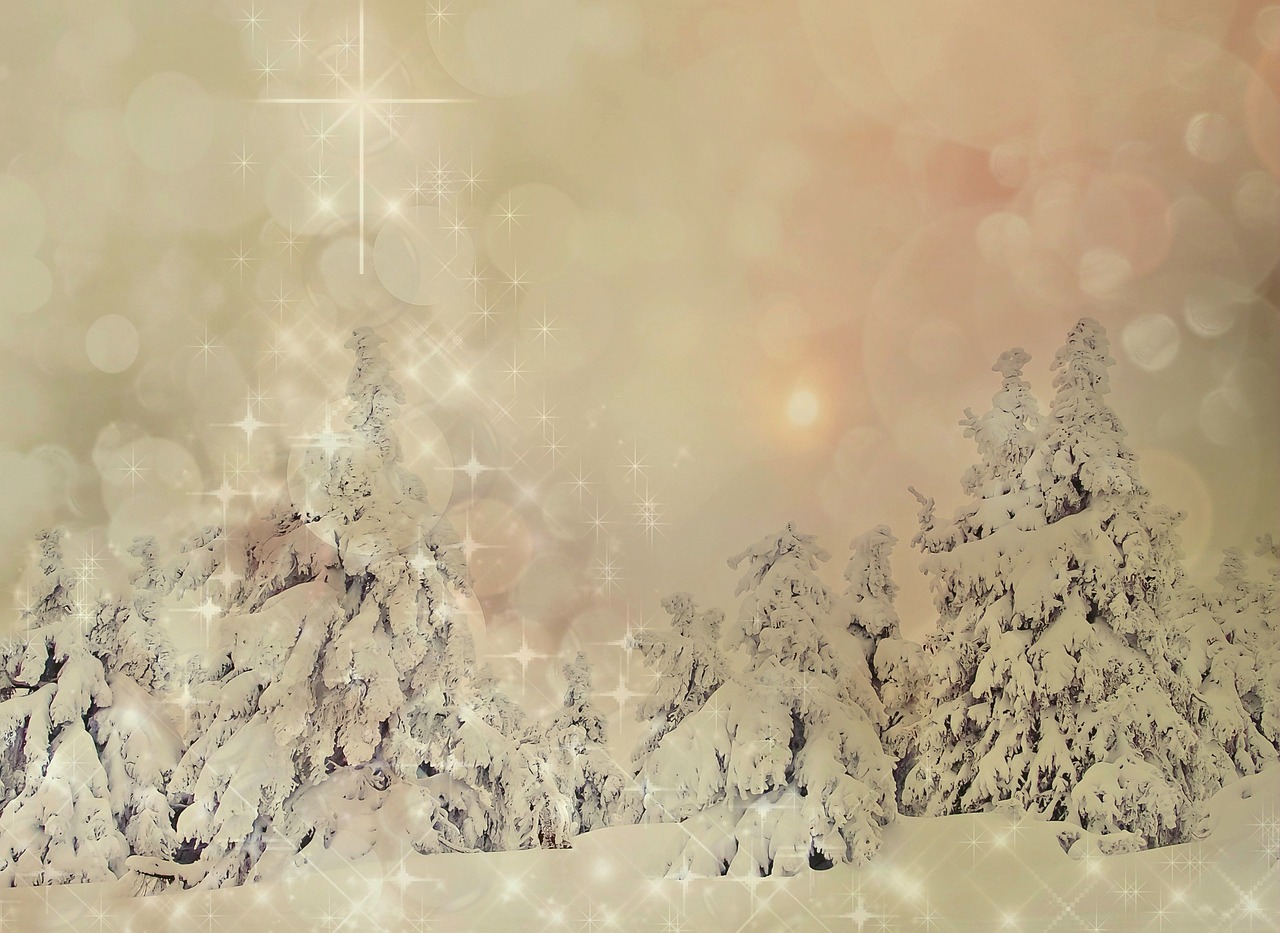 Kalėdos, Žiemą, Sniegas, Žiema, Kalėdų Motyvas, Kalėdų Sveikinimas, Nuotaika, Kalėdinis Atvirukas, Pušynas, Kalėdų Laikas