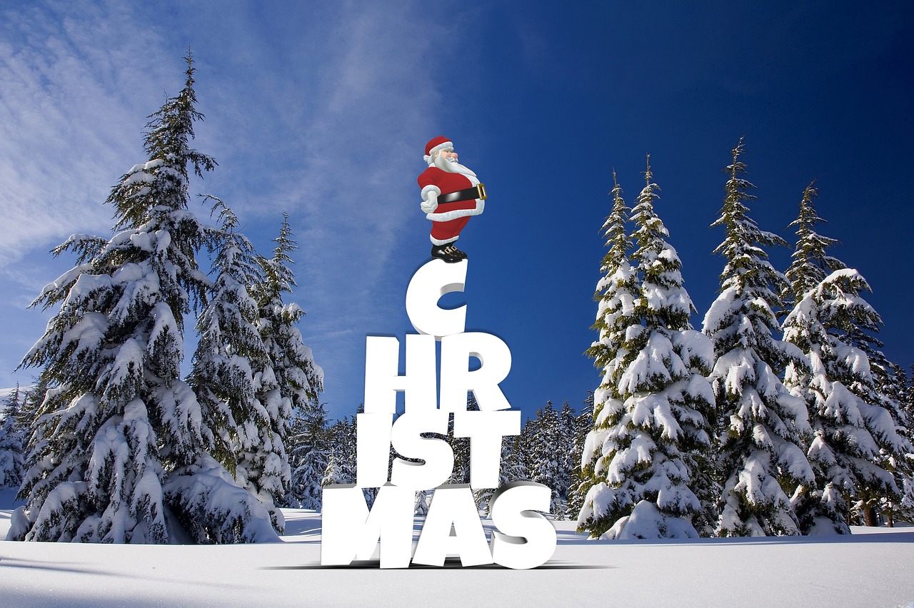 Kalėdos, Žiema, Miškas, Sniegas, Pušis, Kalėdų Eglutė, Nikolas, Kalėdų Senelis, Eglės, Kalėdų Laikas