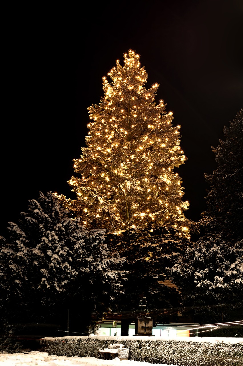 Kalėdos, Weihnachtsbaumschmuck, Žalias, Glaskugeln, Sniegas, Apšvietimas, Medis, Tamsi, Naktis, Šviesa