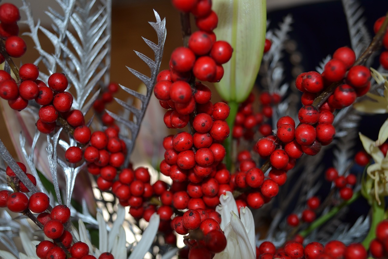 Kalėdos, Holly, Apdaila, Xmas, Šventė, Šventinis, Uogos, Raudona Uoga, Išdėstymas, Nemokamos Nuotraukos