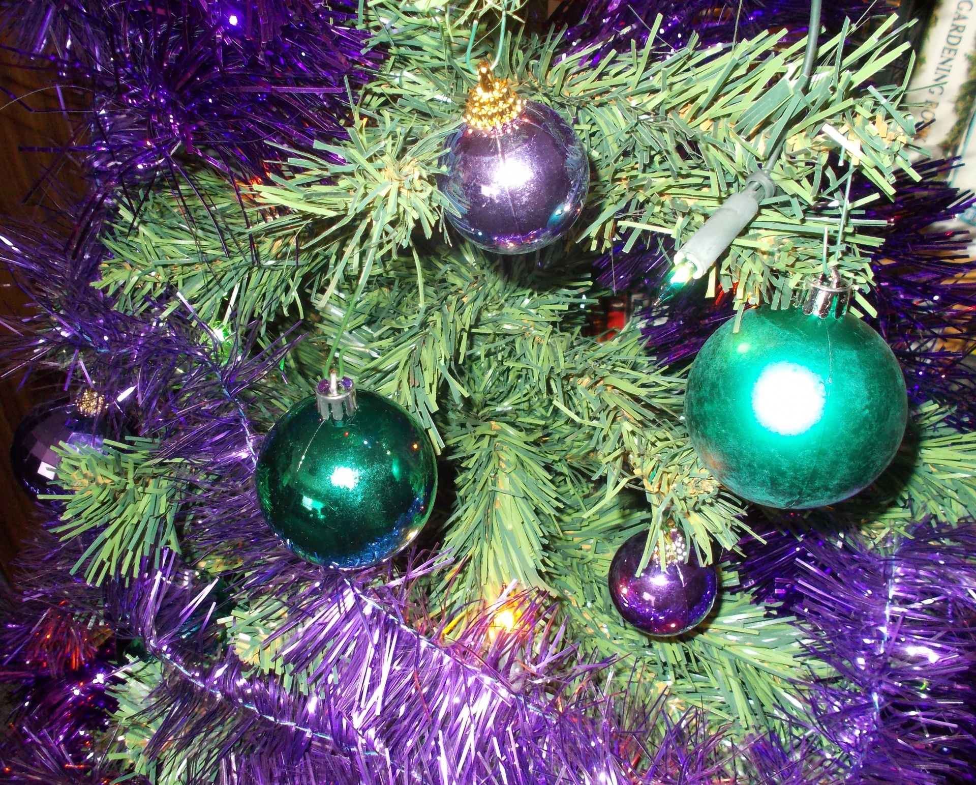 Violetinė,  Žalias,  Kalėdos,  Medis,  Milteliai,  Blizgantis,  Blizgučiai,  Graži,  Kalėdų Kepurės, Nemokamos Nuotraukos