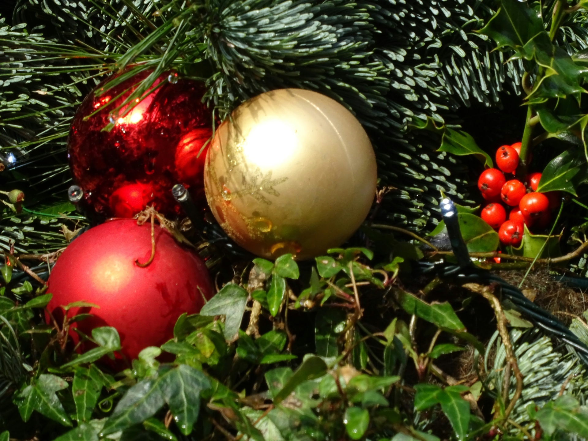 Kalėdos,  Santa,  Claus,  Medis,  Medžiai,  Beabilis,  Bambukai,  Holly,  Apdaila,  Dekoracijos
