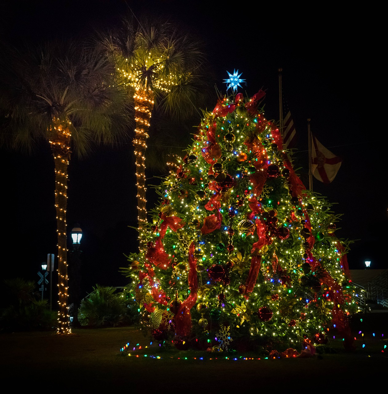 Kalėdiniai Dekoracijos, Florida, Neonas, Spalvinga, Dekoratyvinis, Ornamentas, Žiema, Šventė, Šviesus, Vakaras
