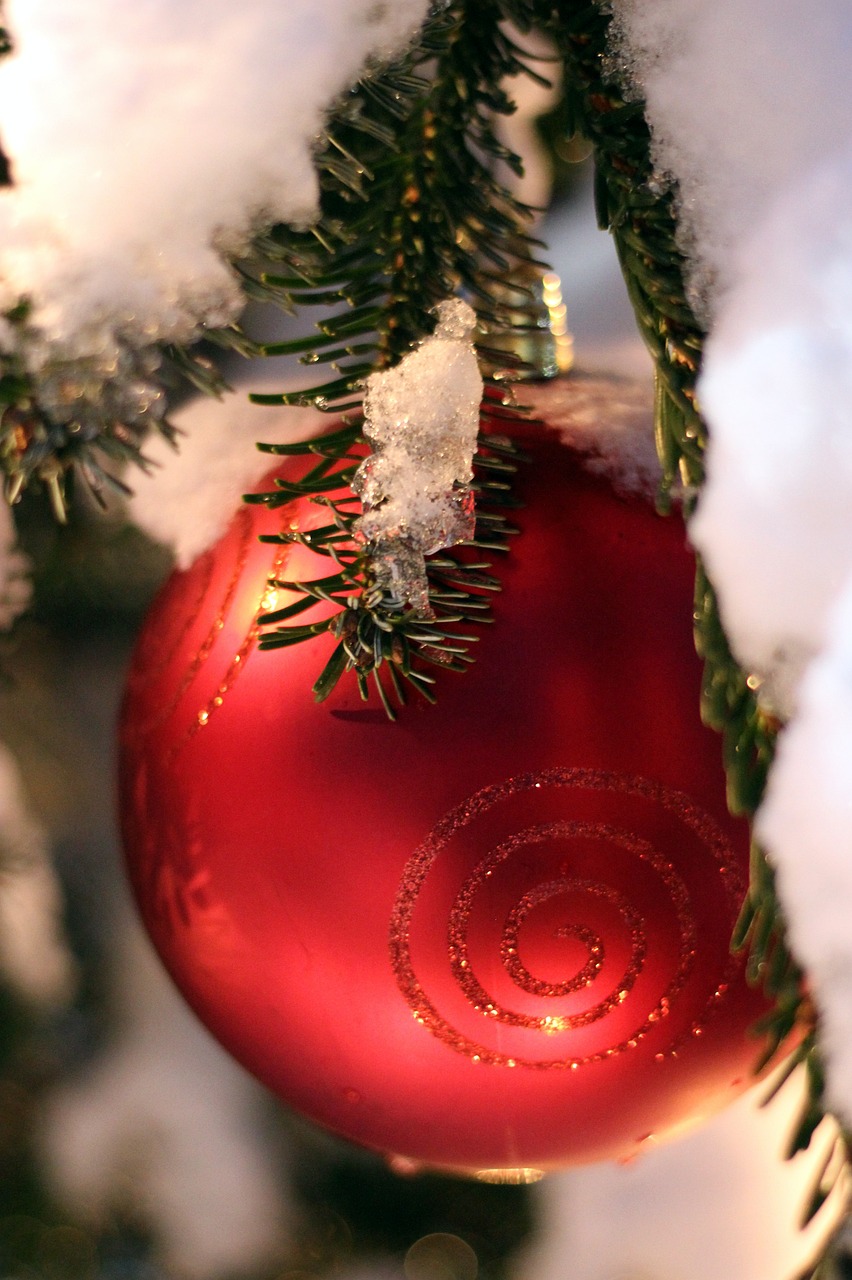Kalėdinis Ornamentas, Raudona, Eglė, Sniegas, Kalėdos, Kalėdiniai Dekoracijos, Apdaila, Kalėdų Papuošalas, Medžio Dekoracijos, Kalėdų Laikas