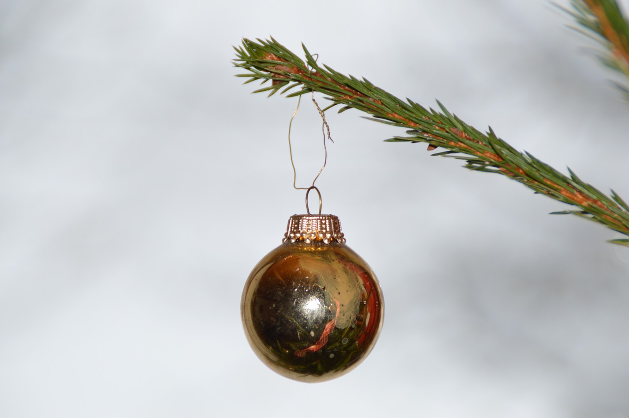 Kalėdinis Ornamentas, Kalėdos, Kalėdų Eglutė, Kalėdiniai Dekoracijos, Nemokamos Nuotraukos,  Nemokama Licenzija