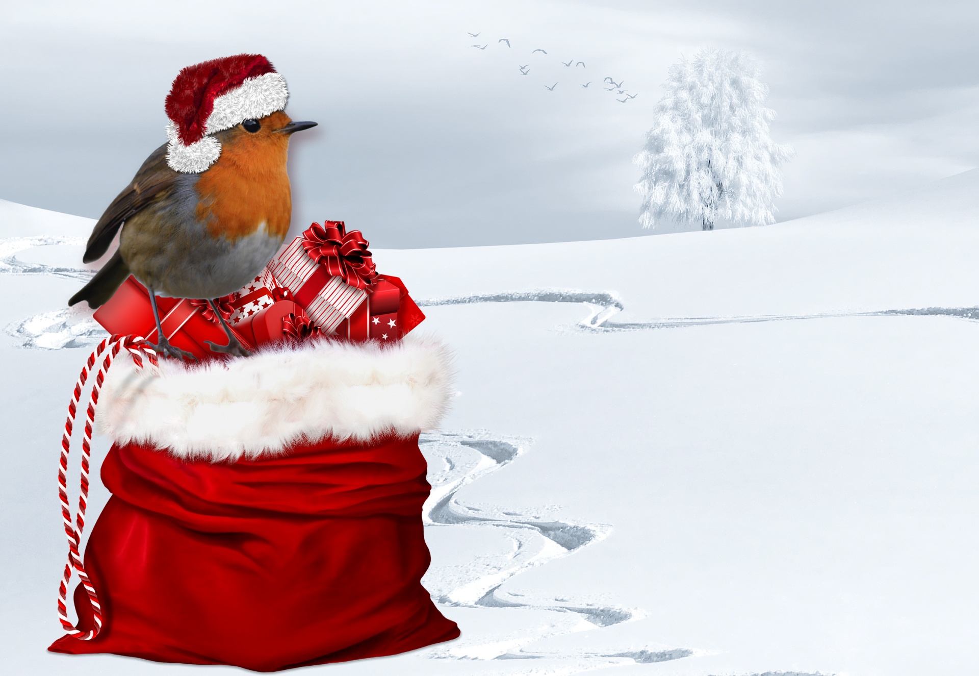 Kalėdos,  Robin,  Paukštis,  Skrybėlę,  Raudona,  Santa,  Santa & Nbsp,  Hat,  Maišas,  Dovanos