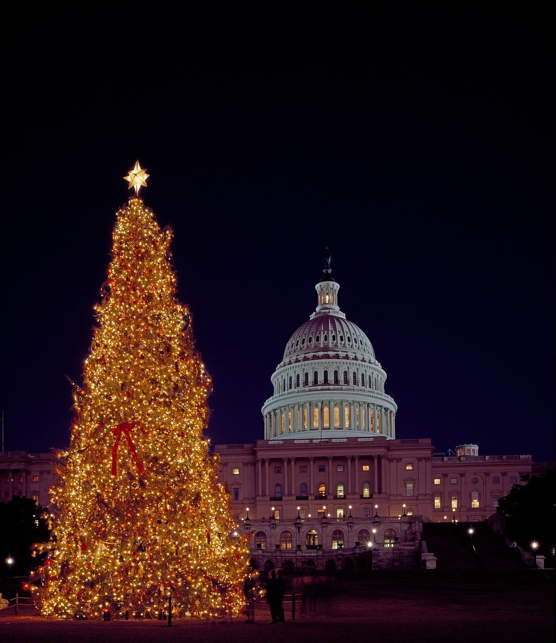 Kalėdų Eglutė, Capitol Pastatas, Vašingtonas, Žibintai, Šventinis, Kalėdos, Dekoracijos, Žvaigždė, Šventė, Architektūra