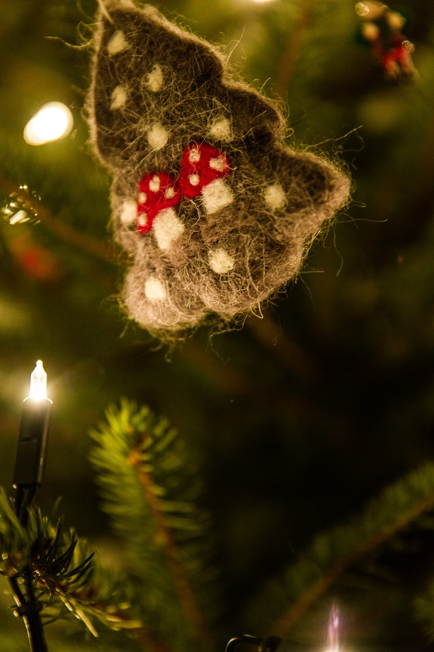 Kalėdų Eglutė, Apdaila, Kalėdos, Weihnachtsbaumschmuck, Medžio Dekoracijos, Adventas, Kalėdų Papuošalai, Festivalis, Kalėdų Puošimas, Kalėdinis Ornamentas