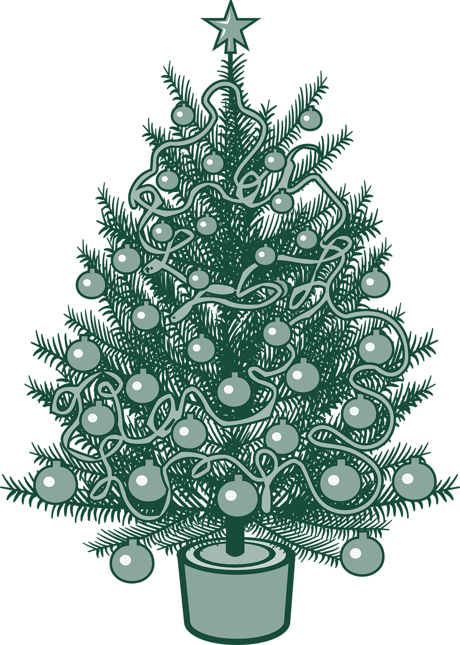 Kalėdų Eglutė, X-Mas, Kalėdos, Eglė, Medis, Žalias, Visžalis, Švesti, Gruodžio Mėn ., Sezoninis