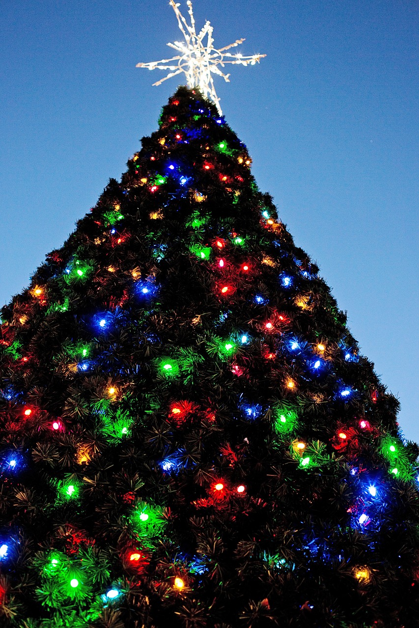 Kalėdų Eglutė, Xmas Tree, Kalėdos, Nemokamos Nuotraukos,  Nemokama Licenzija