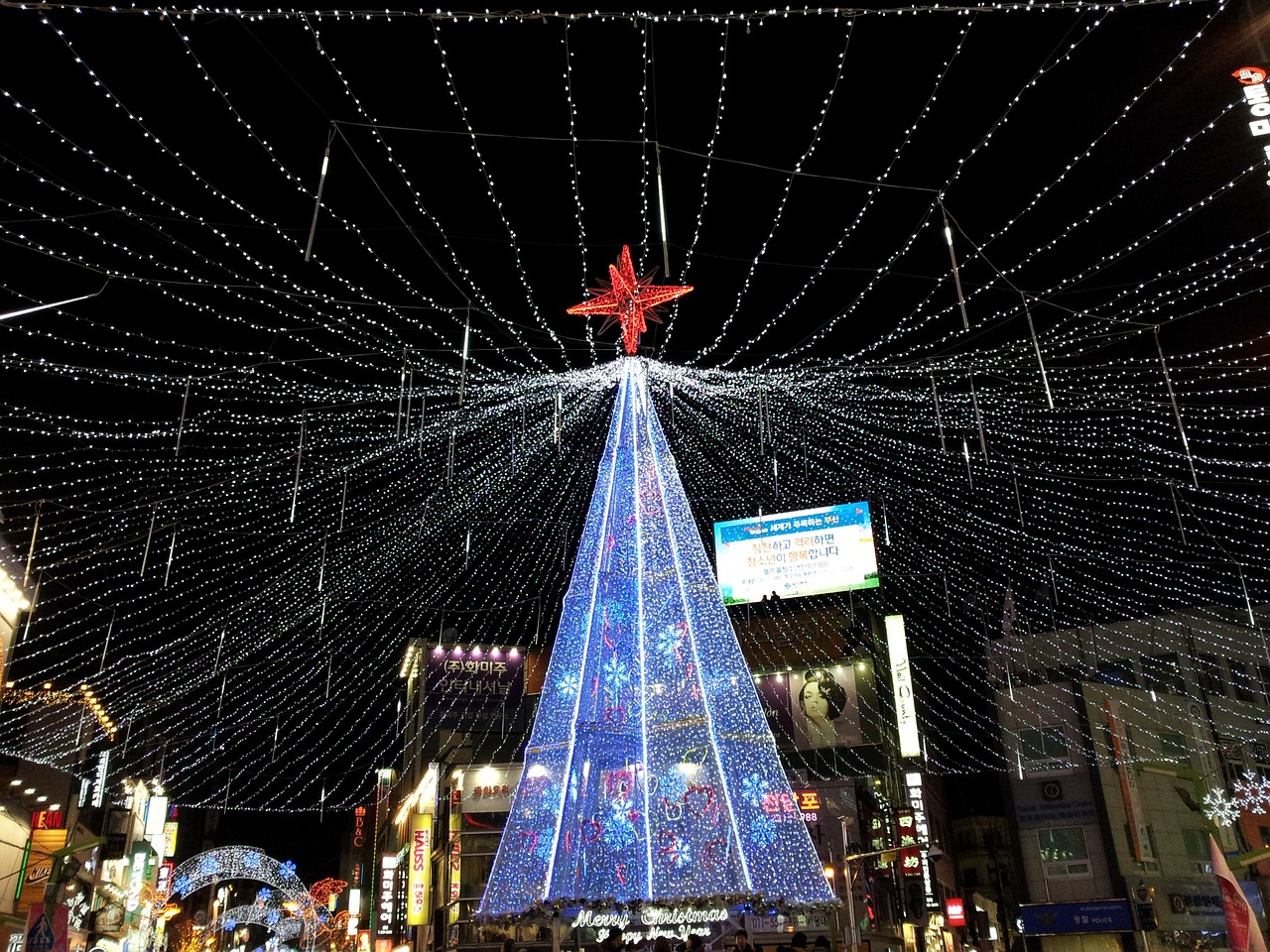 Kalėdų Eglutė, Didelis Medis, Miesto Medis, Nemokamos Nuotraukos,  Nemokama Licenzija