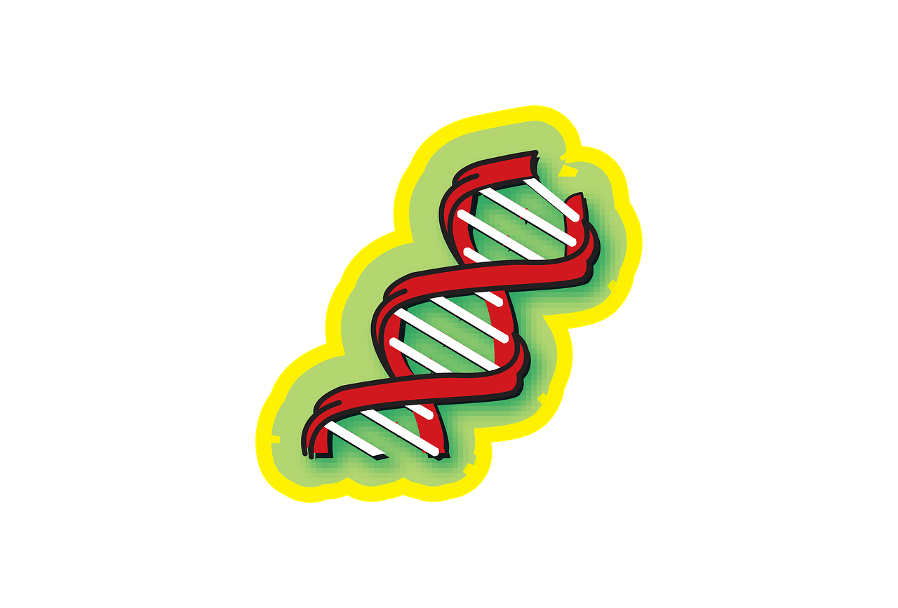 Chromosoma,  Medicinos,  Mokslas,  Dnr,  Medicina,  Genetinis,  Biologija,  Molekulė,  Biotechnologijos,  Mokslo