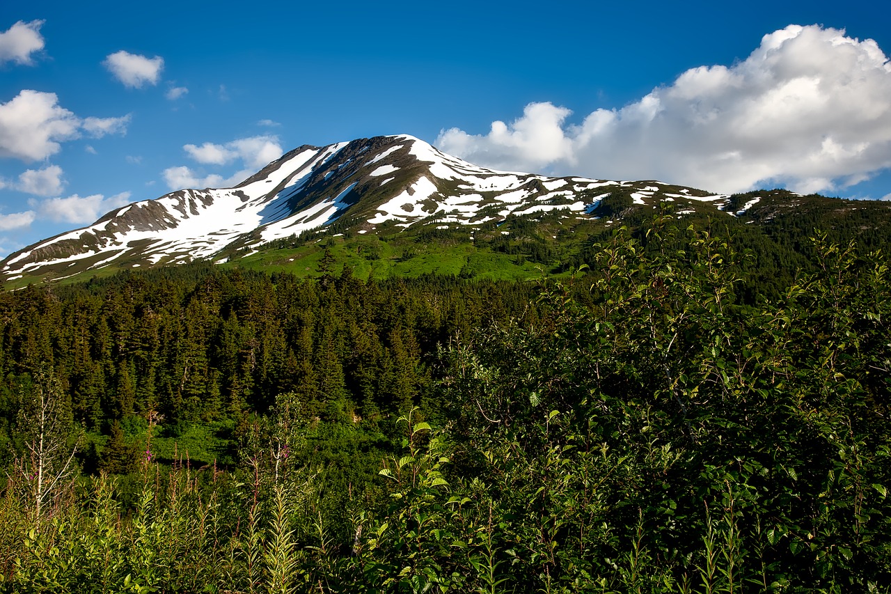 Chugacho Nacionalinis Miškas, Alaska, Kraštovaizdis, Vaizdingas, Snowcap, Dangus, Debesys, Dykuma, Gamta, Lauke
