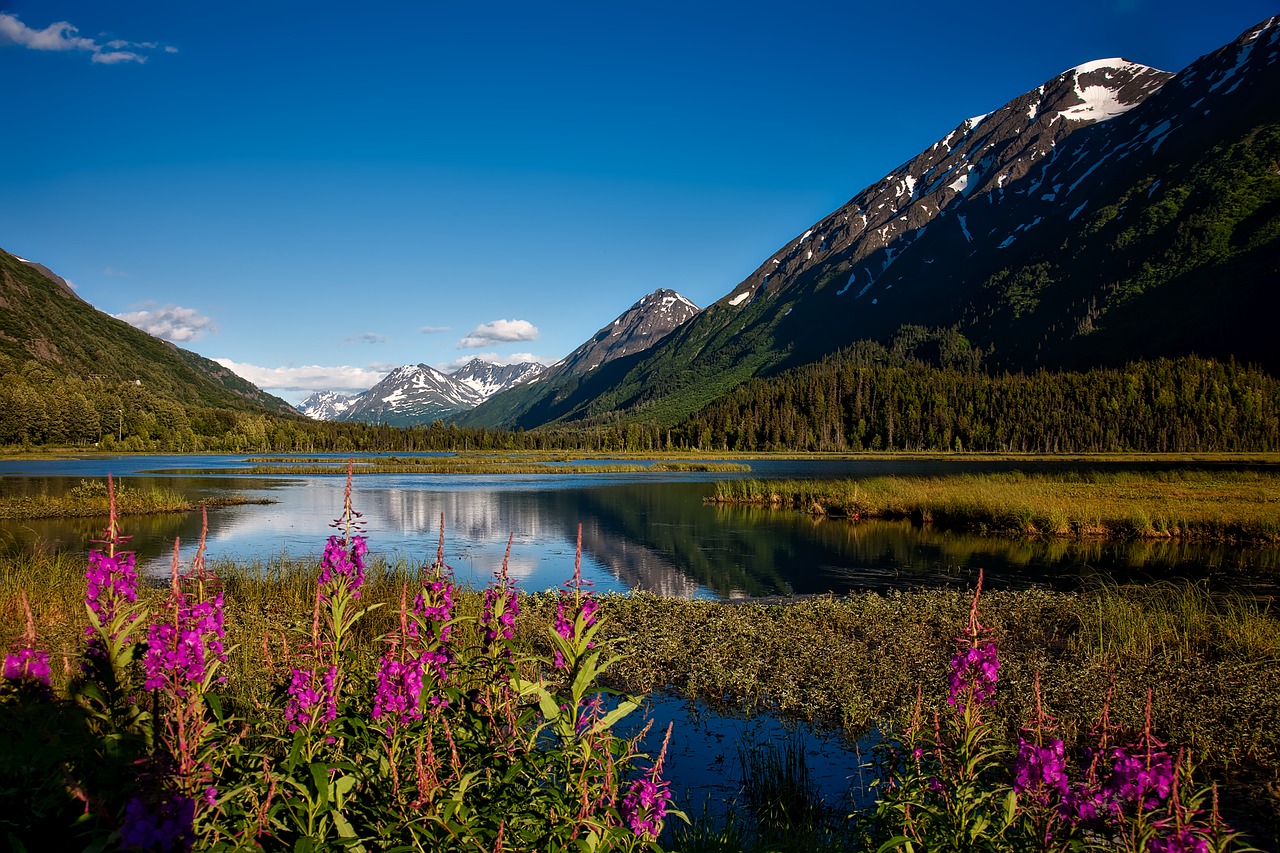 Chugacho Nacionalinis Miškas, Alaska, Kraštovaizdis, Vaizdingas, Snowcap, Dangus, Debesys, Dykuma, Gamta, Lauke