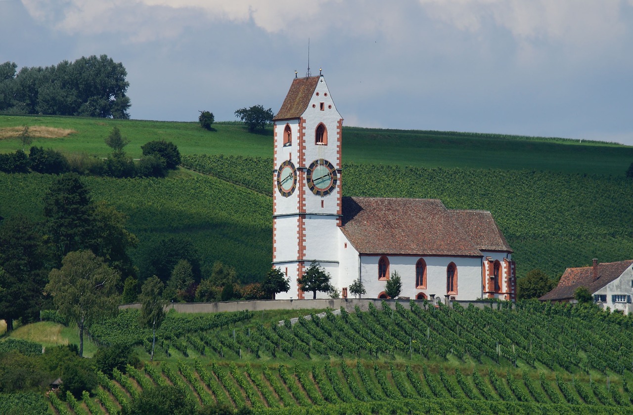 Bažnyčia,  Klettgau,  Vynuogynai,  Vynuogynas, Nemokamos Nuotraukos,  Nemokama Licenzija