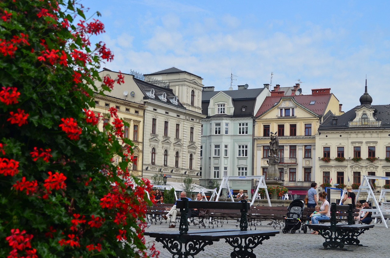 Cieszyn Poland, Lenkija, Kvadratas, Gėlės, Sodas, Pastatai, Augalas, Vasara, Gėlių, Nemokamos Nuotraukos