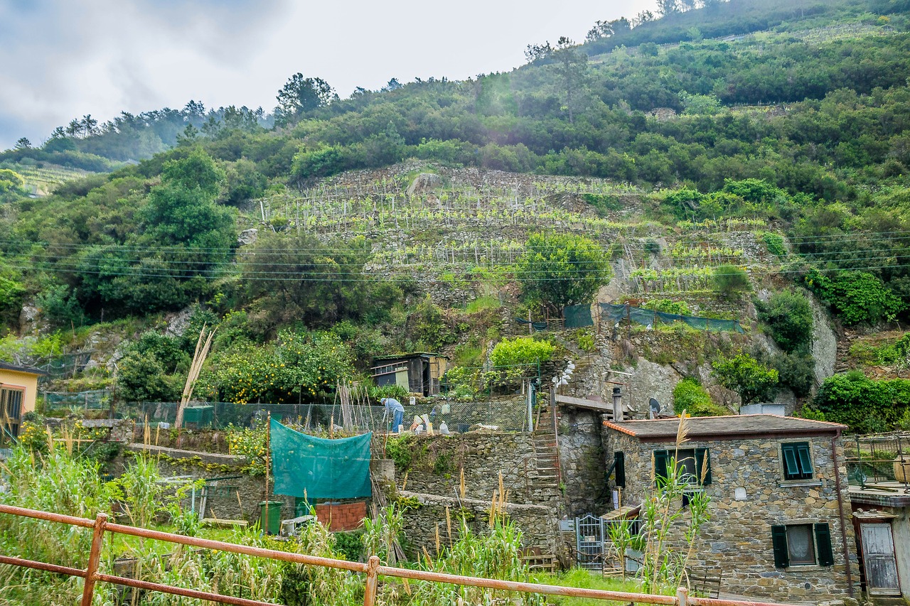 Cinque Terre, Italy, Amalfi Pakrantė, Kaimas, Gamta, Rusiška Žemė, Kraštovaizdis, Nemokamos Nuotraukos,  Nemokama Licenzija