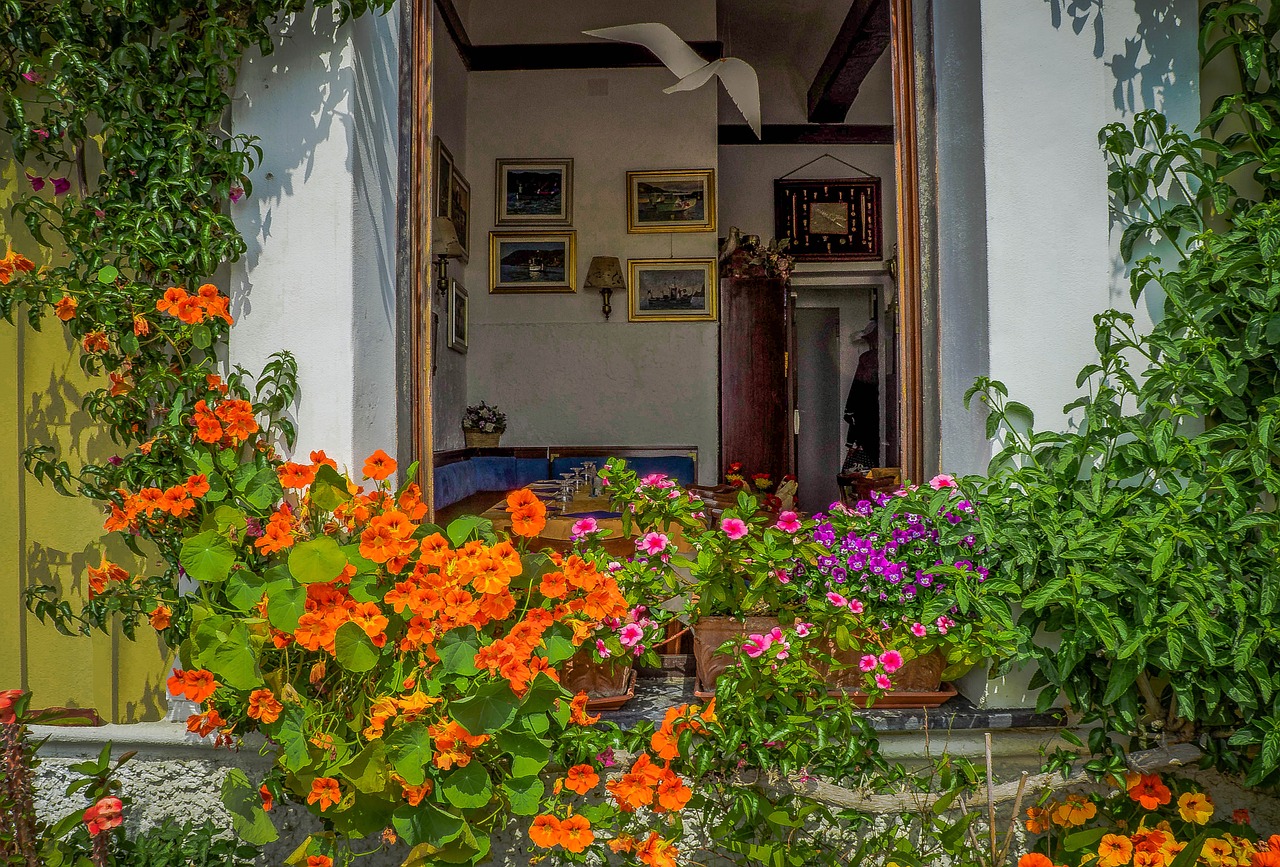 Cinque Terre, Italy, Gėlės, Pastatai, Architektūra, Lauke, Augalai, Gamta, Vasara, Nemokamos Nuotraukos