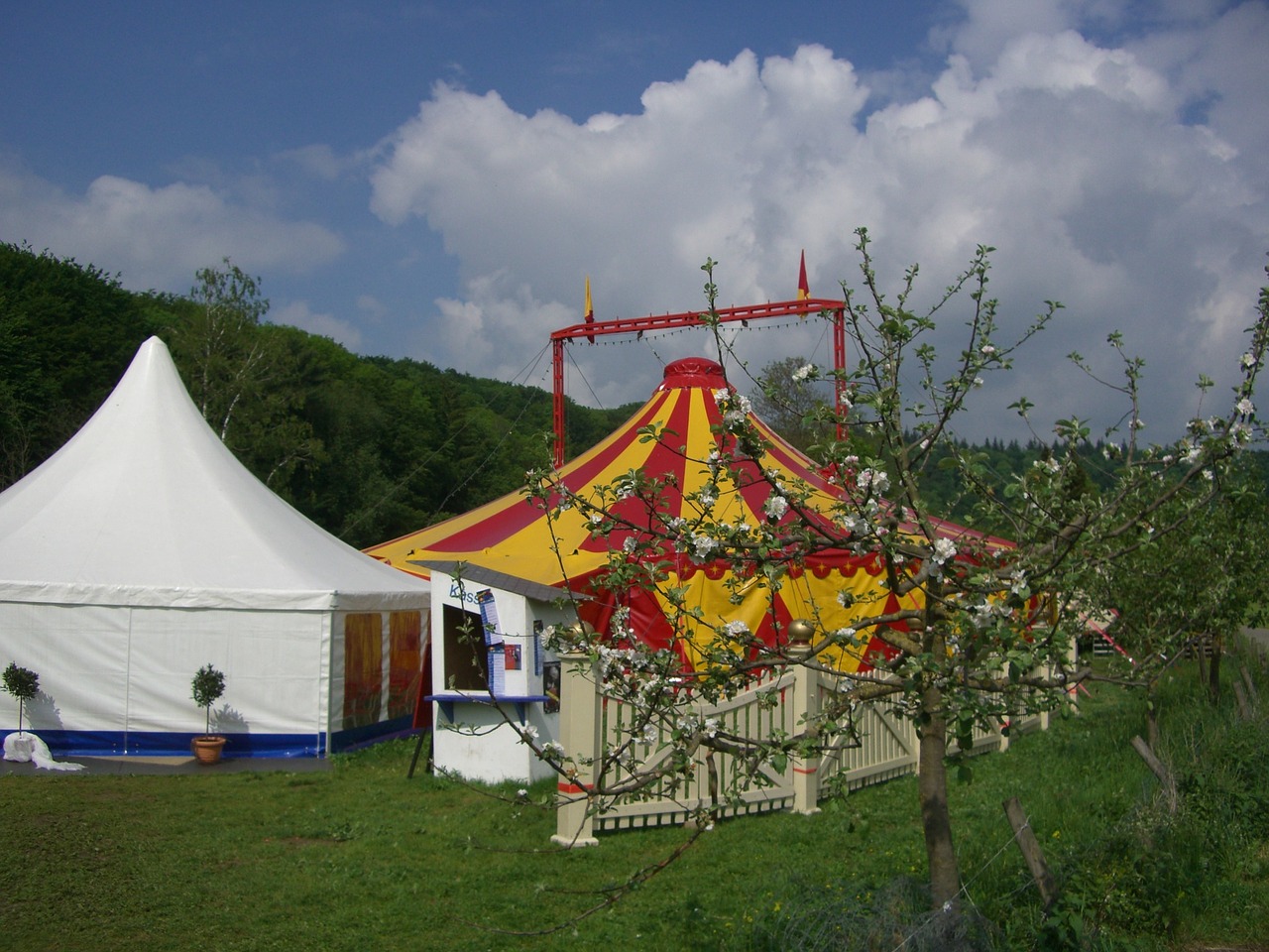 Cirko Palapinė, Cirkas Žalia, Palapinė, Spalvinga, Geltona, Raudona, Oranžinė, Balta, Sodas, Eselsburgo Slėnis