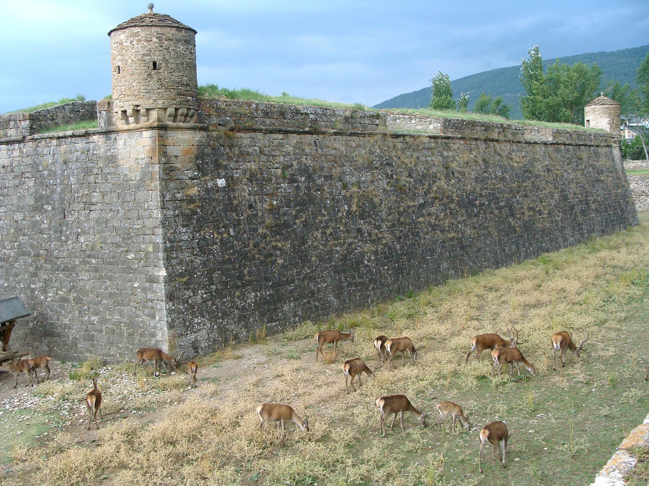 Citadelė, Fortifikacija, Jaca, Huesca, Jacetania, Nemokamos Nuotraukos,  Nemokama Licenzija