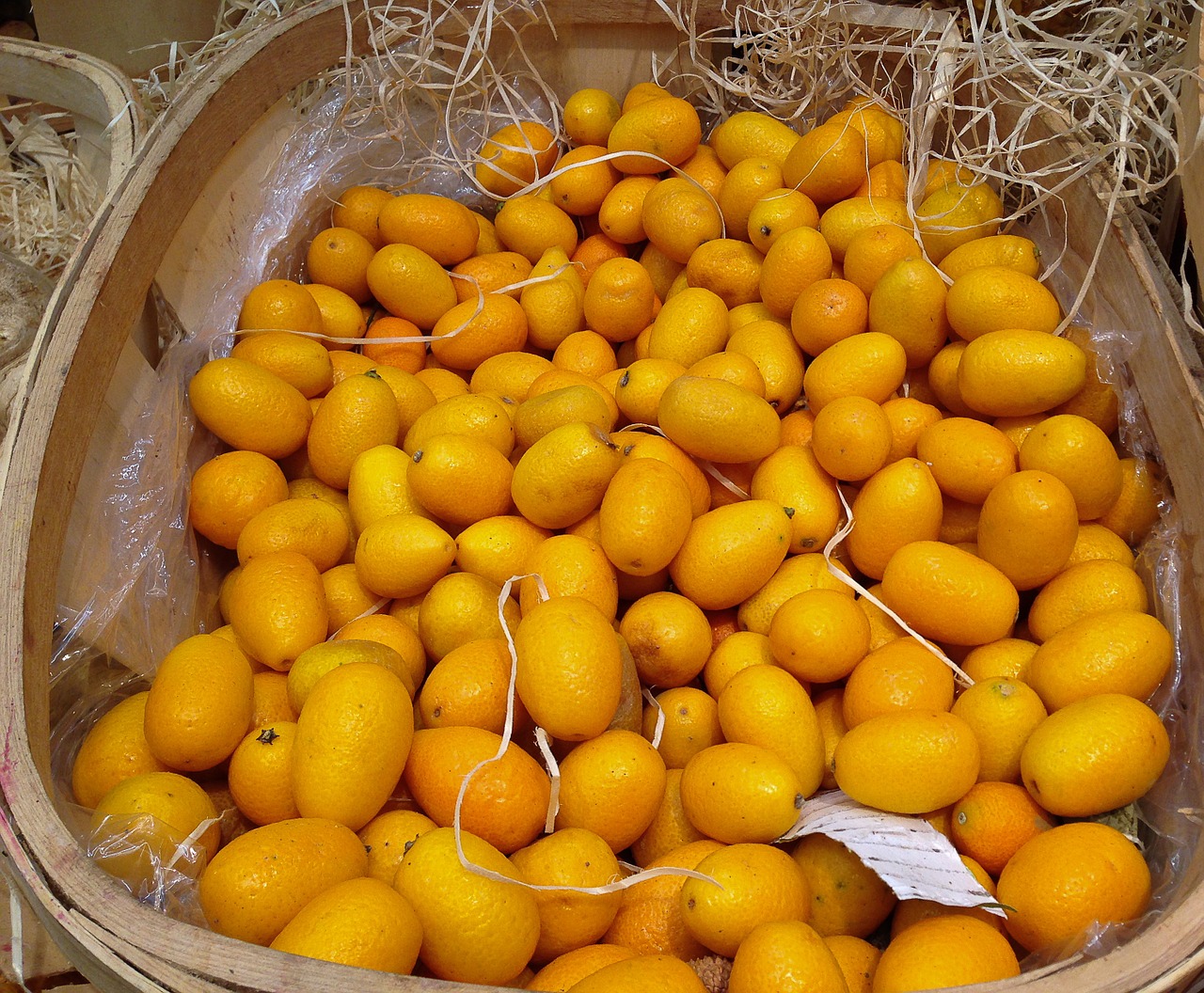 Citrusiniai, Kumquats, Vaisiai, Citrina, Nemokamos Nuotraukos,  Nemokama Licenzija