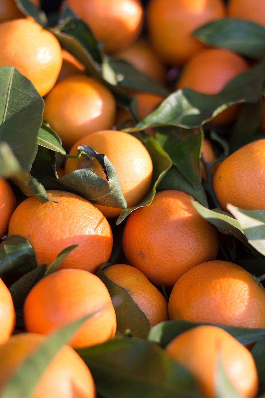 Citrusinis Vaisius, Mandarinas, Klementinas, Mandarinas, Oranžinė, Derlius, Nemokamos Nuotraukos,  Nemokama Licenzija