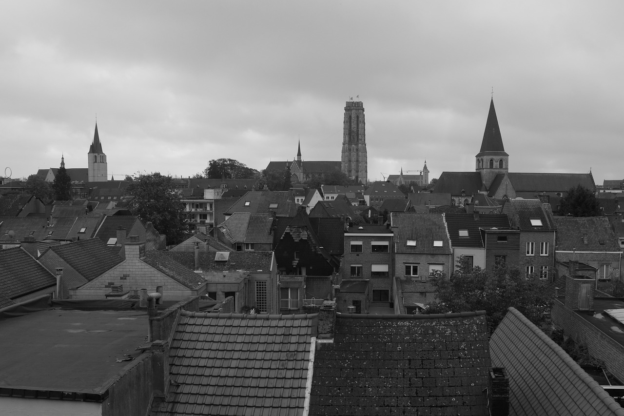 Miestas, Mechelen, Pastatai, Architektūra, Bokštai, Stogai, Panorama, Vaizdas, Nemokamos Nuotraukos,  Nemokama Licenzija