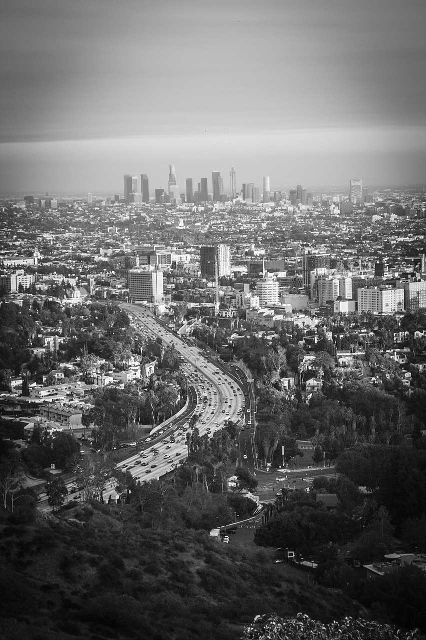 Miestas, Los Andželas, Panorama, Nemokamos Nuotraukos,  Nemokama Licenzija