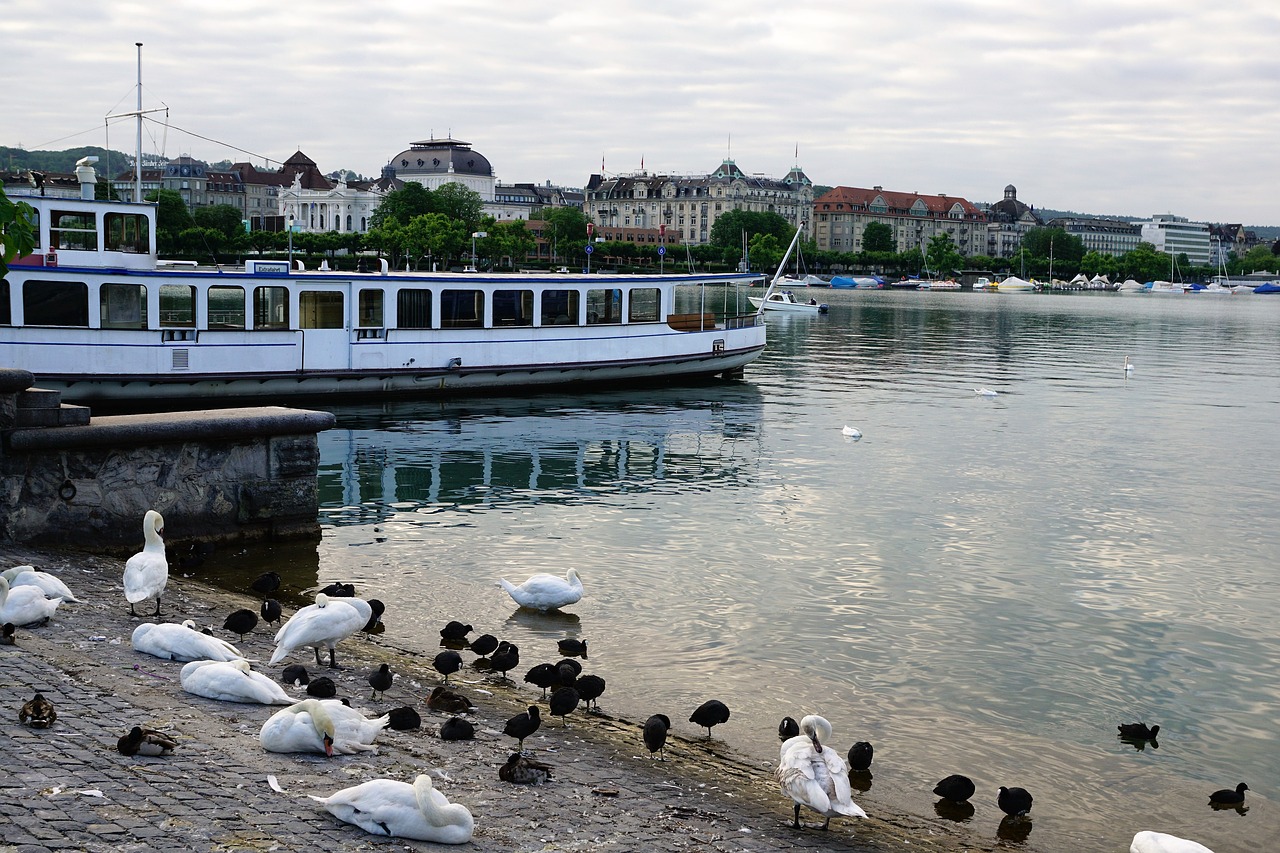 Miestas, Europa, Zurich, Šveicarija, Vasara, Upė, Bürkliplatz, Paukščiai, Gamta, Kantonas