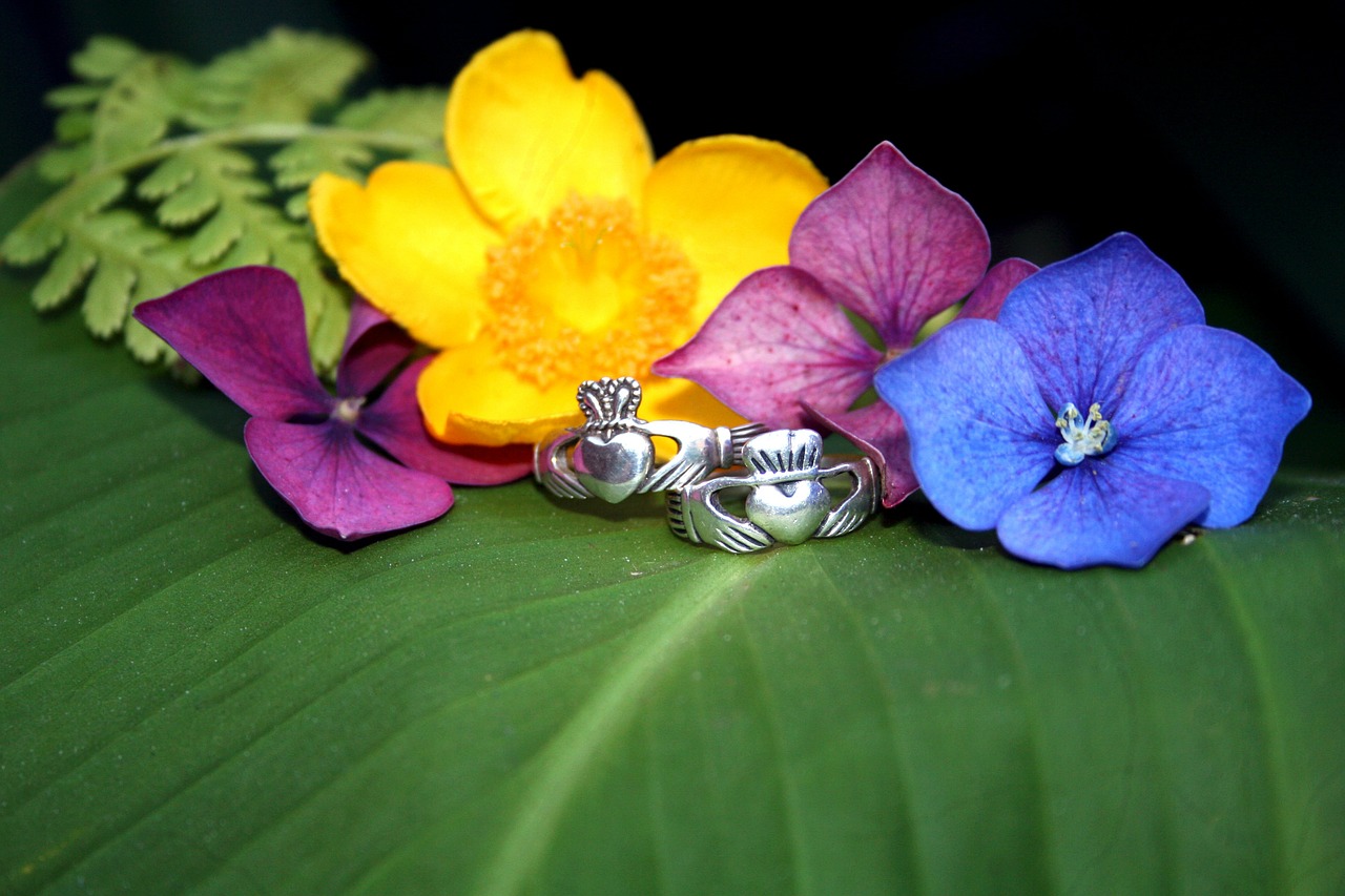 Claddagh Žiedai, Gėlės, Gamta, Meilė, Nemokamos Nuotraukos,  Nemokama Licenzija