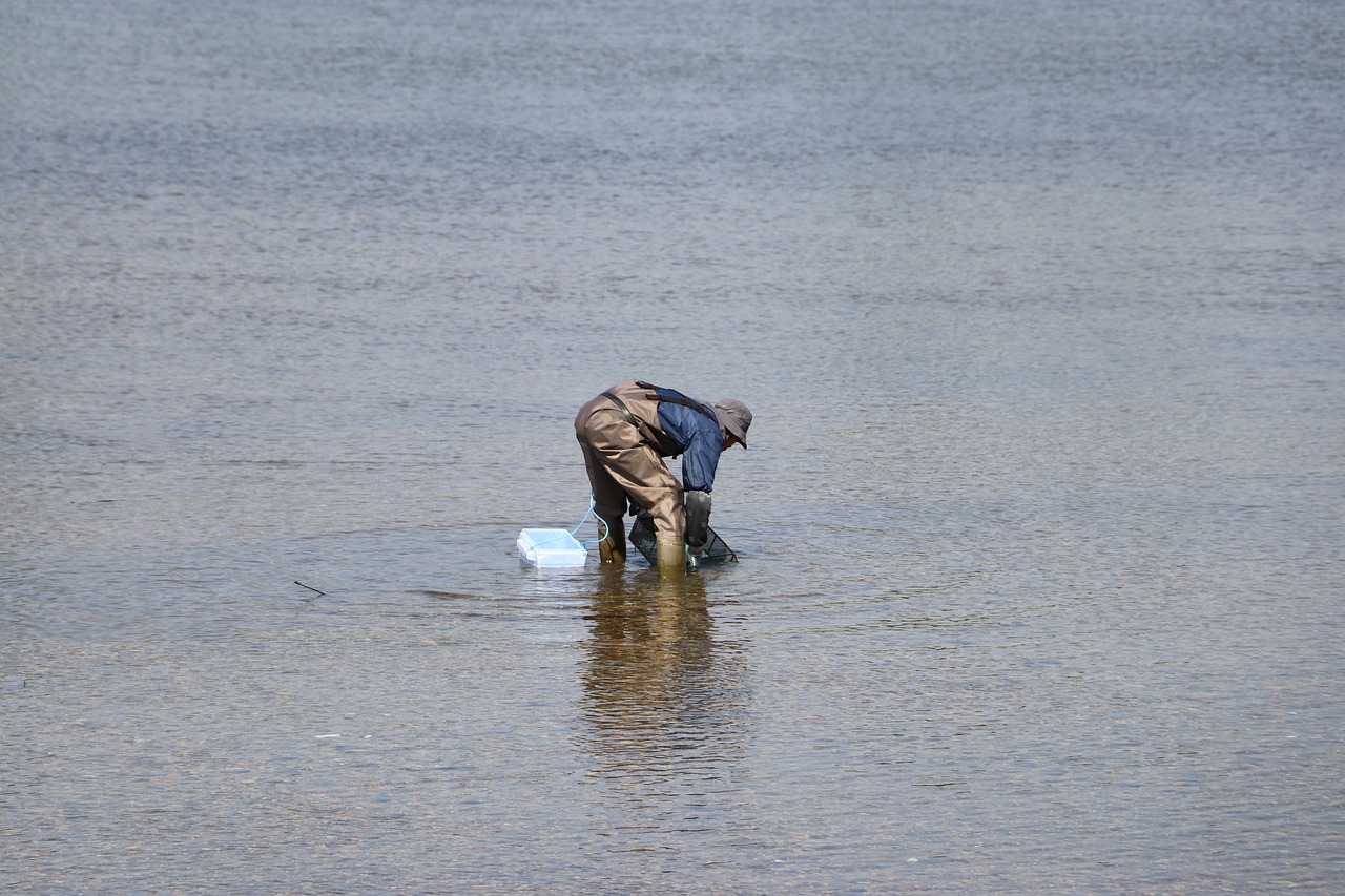 Clamming, Lukštas, Atgal, Nemokamos Nuotraukos,  Nemokama Licenzija