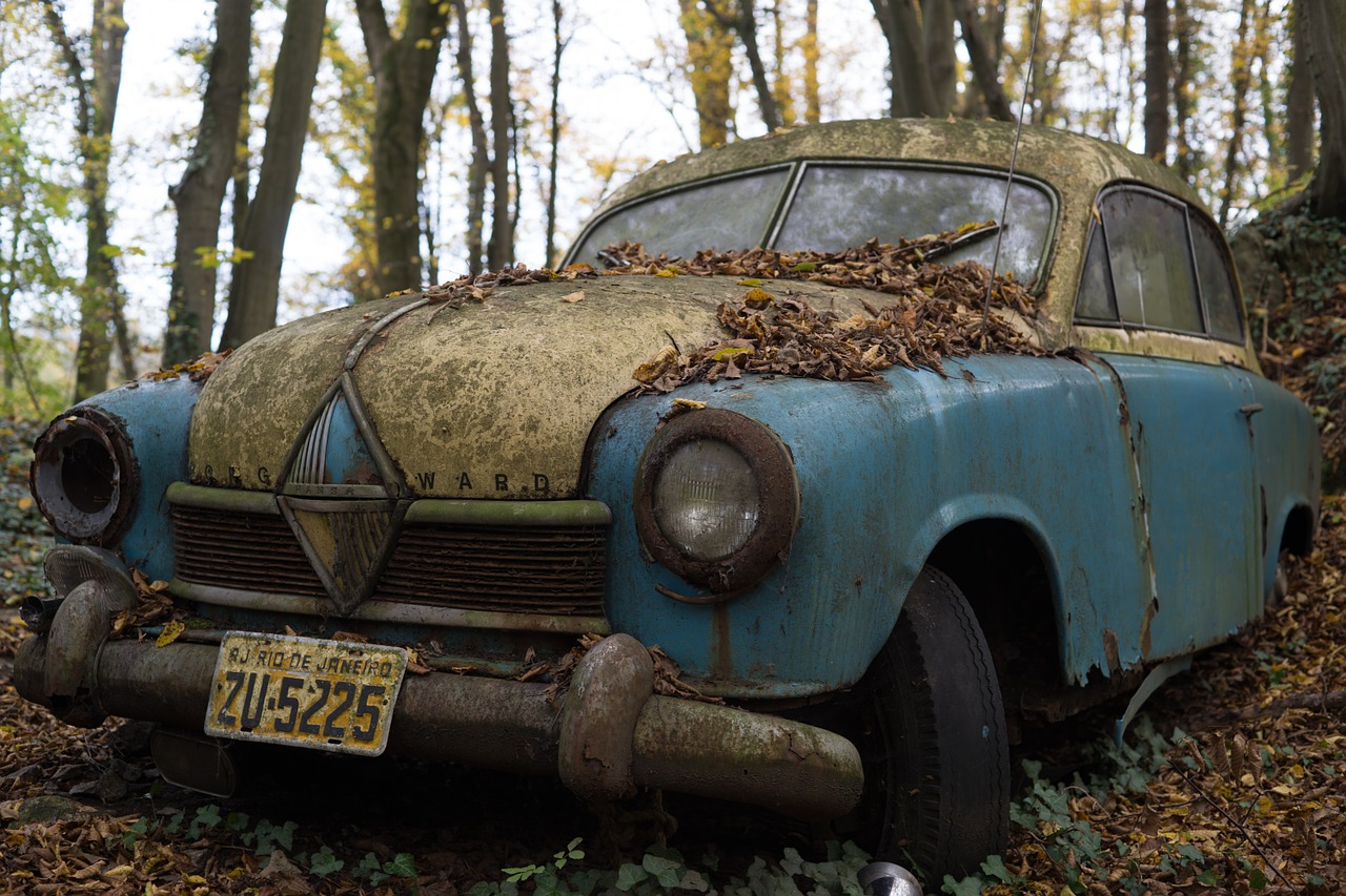 Klasikinis Automobilis, Borgward, Automobilis, Vintage, Šiukšlių Kiemas, Gaudyklė, 1950S, Senas, Rūdys, Lapai