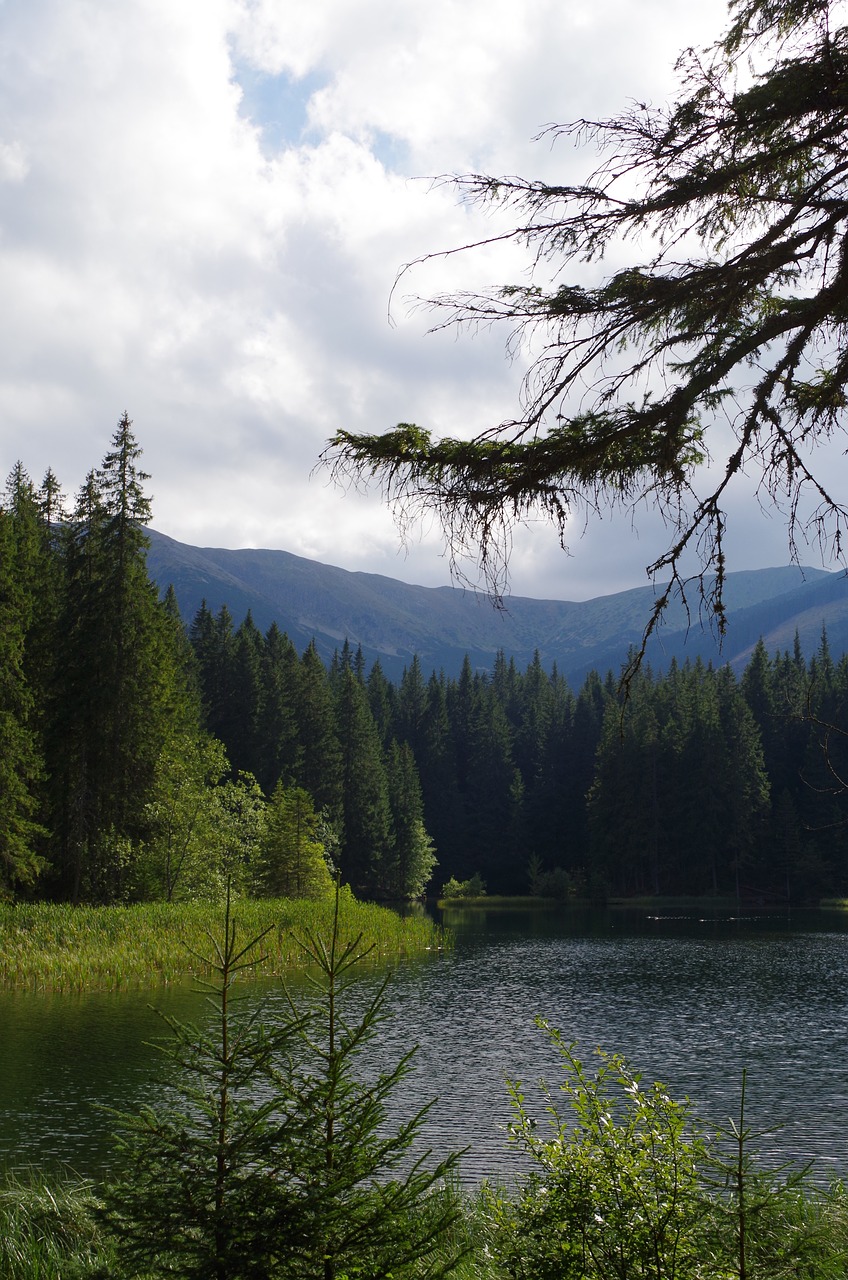 Aišku, Ežeras, Slovakija, Vanduo, Miškas, Kalnai, Medžiai, Nemokamos Nuotraukos,  Nemokama Licenzija