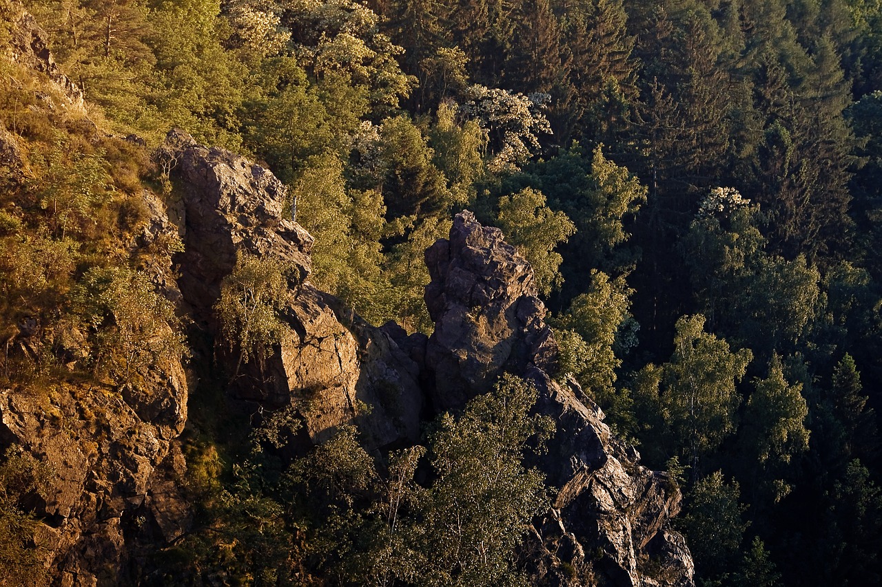 Uolos, Kietas, Tvirtas, Kalnas, Akmenys, Reljefas, Miškas, Miškas, Gamta, Nemokamos Nuotraukos