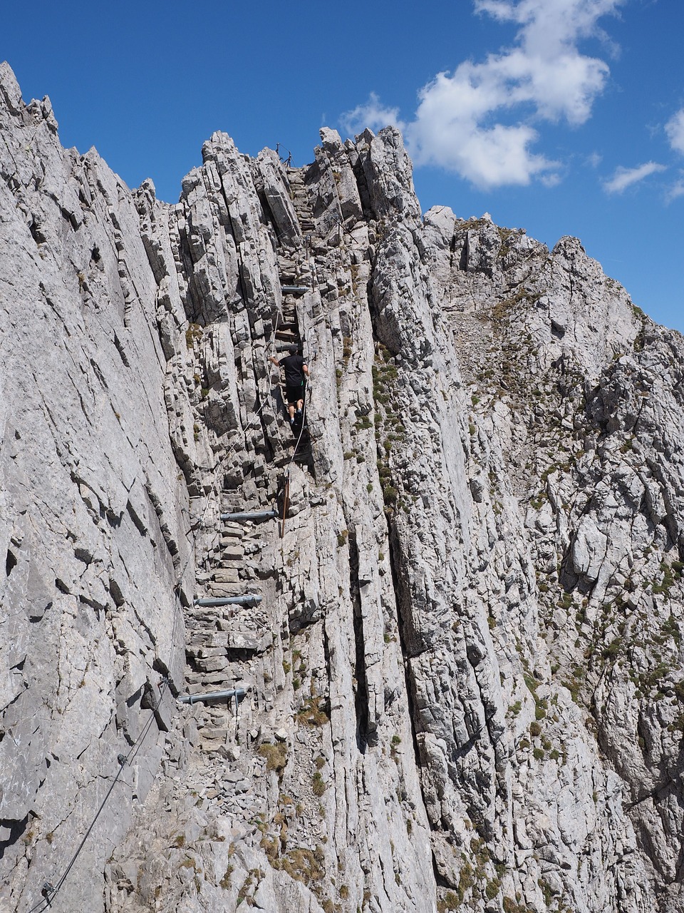 Alpinizmas, Virvė, Rokas, Eksponuotos, Bėga, Lęšių Kopėčios, Swiss Alps, Appenzell, Alpsteino Regionas, Sakntis Regionas