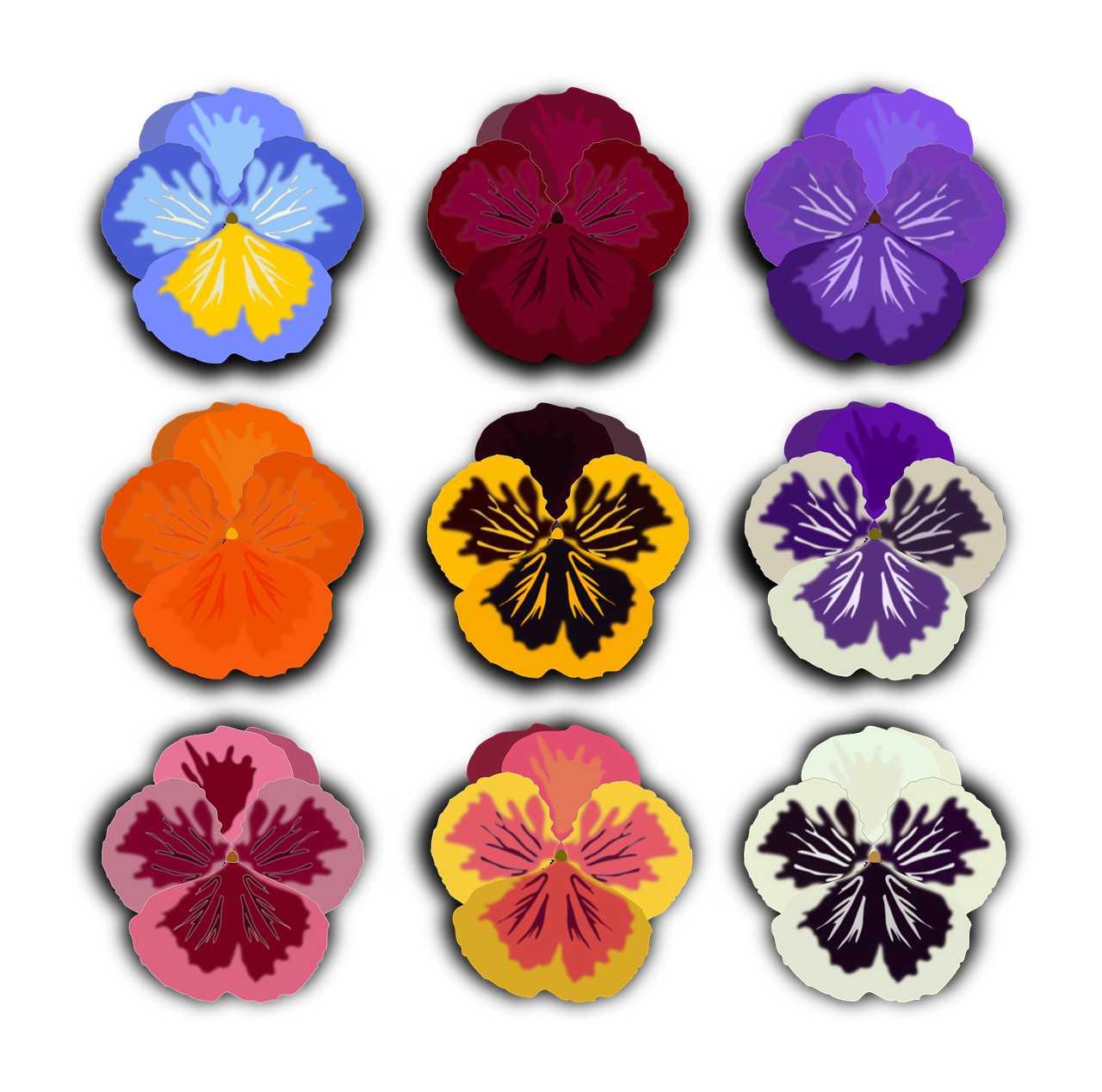 Iliustracijos, Floras, Flora, Gėlė, Gamta, Pansy, Augalas, Nemokama Vektorinė Grafika, Nemokamos Nuotraukos,  Nemokama Licenzija