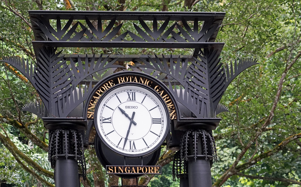 Laikrodis, Botanikos Sodas, Singapūras, Parkas, Įvestis, Laikas, Nemokamos Nuotraukos,  Nemokama Licenzija