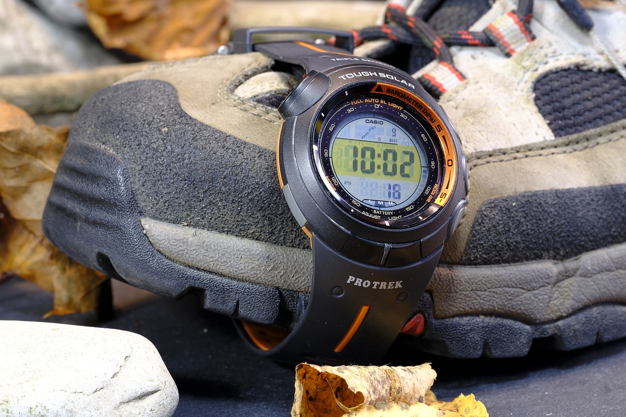 Laikrodis, Rankiniai Laikrodžiai, Sporto Laikrodis, Trekkinguhr, Chronometras, Protrek, Kompiuteris, Batai, Pėsčiųjų Batai, Kelioniniai Batai