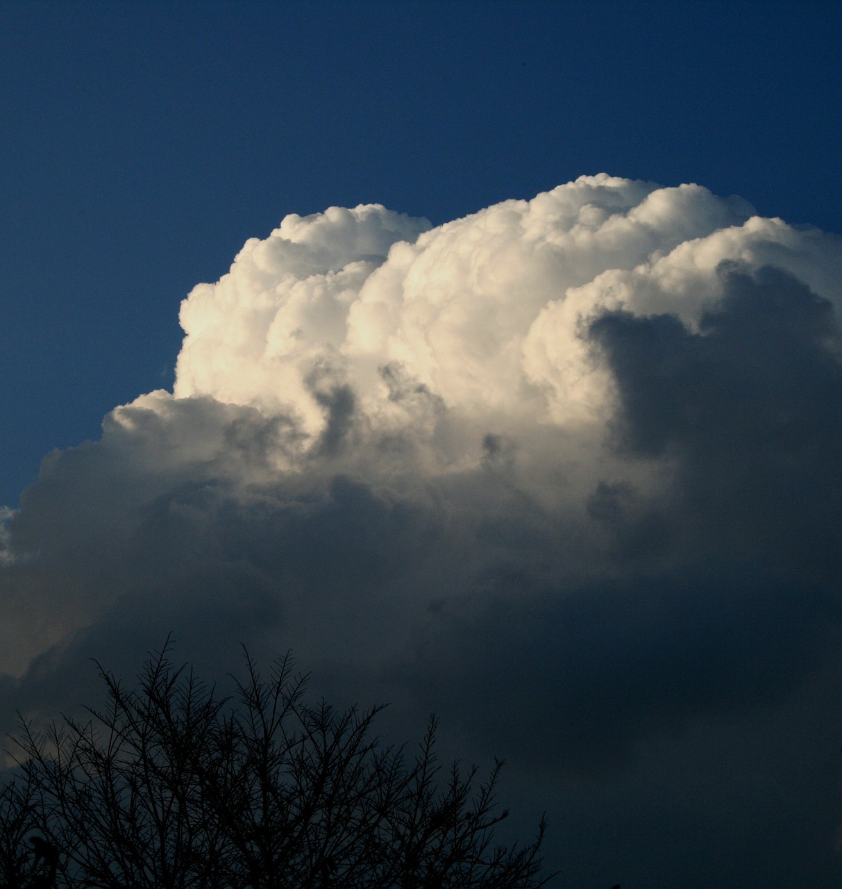 Debesis, Didelis, Cumulus, Billowing, Balta, Šešėlis, Šepetys, Nemokamos Nuotraukos,  Nemokama Licenzija