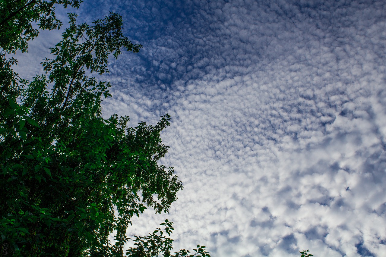 Debesys,  Dangus,  Mėlynas Dangus,  Vakarą Dangus,  Debesis,  Pobūdį,  Dieną,  Cumulus,  Mėlyna,  Fonas