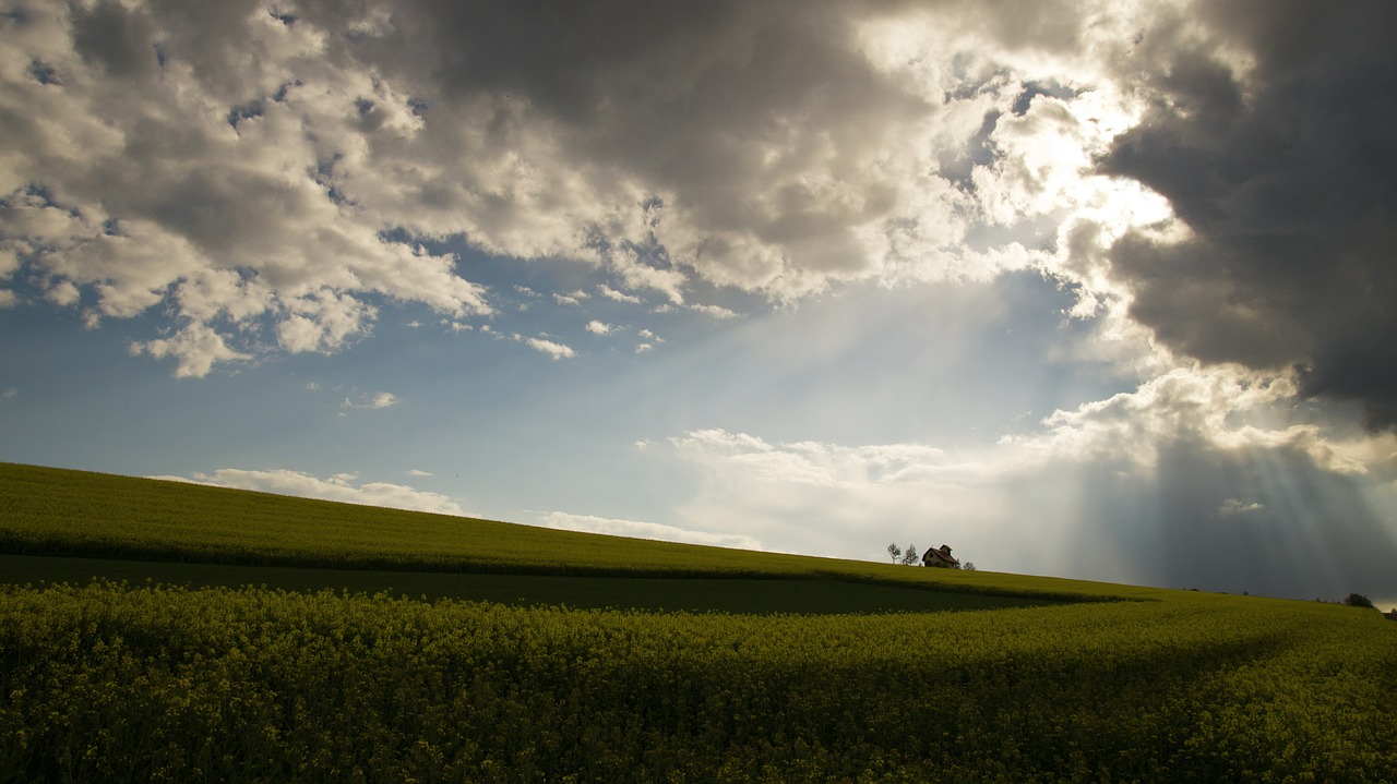 Debesys, Saulėlydis, Dangaus Sijos, Debesys Formos, Horizontas, Laukas, Perspektyva, Kraštovaizdis, Vienišas, Atmosfera