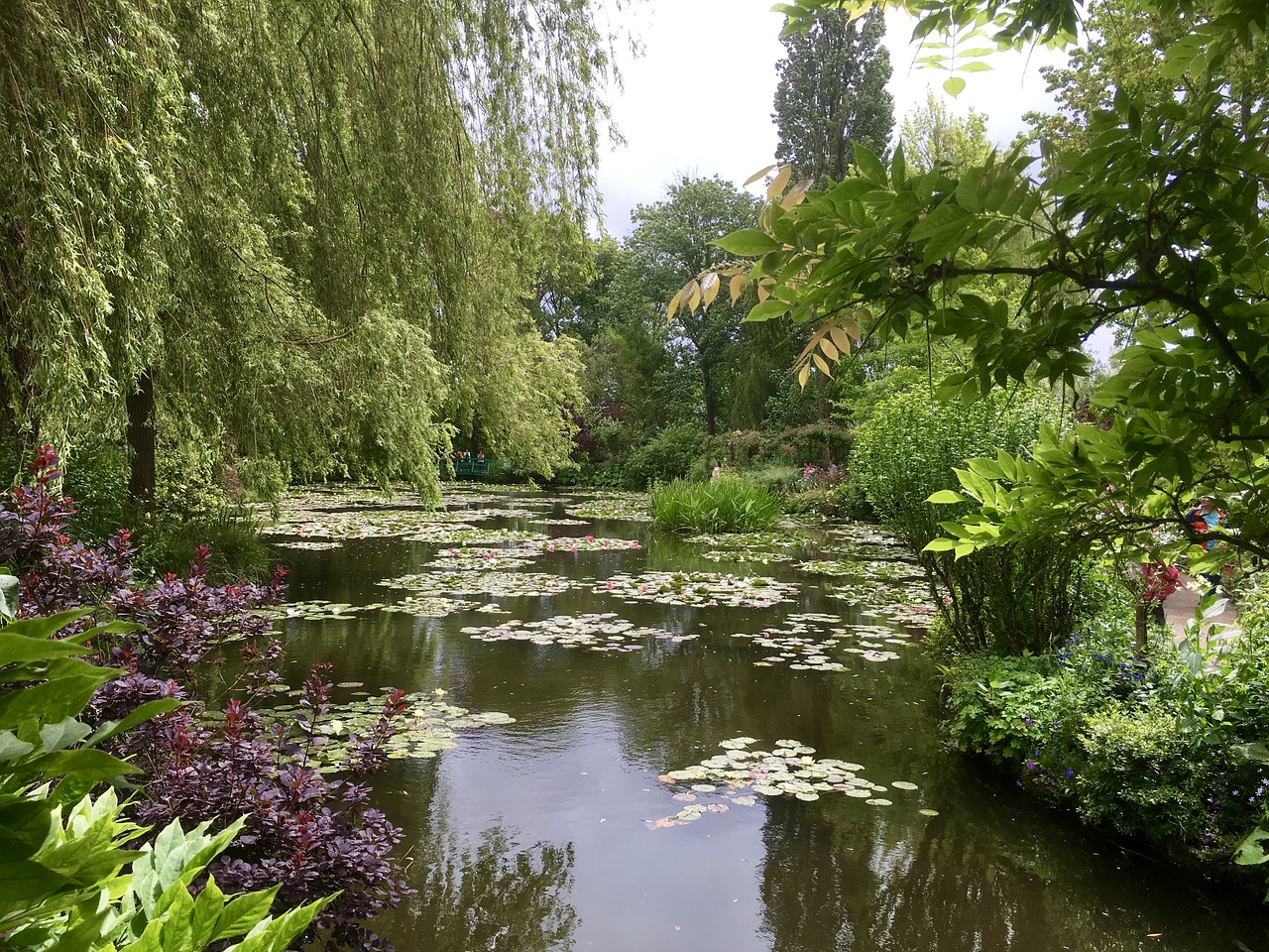 Claude Monet, Vandens Sodas, Augalas, Menas, Monet Sodas, Gamta, Sodas, Vanduo, Vandens Lelijos, Gėlės