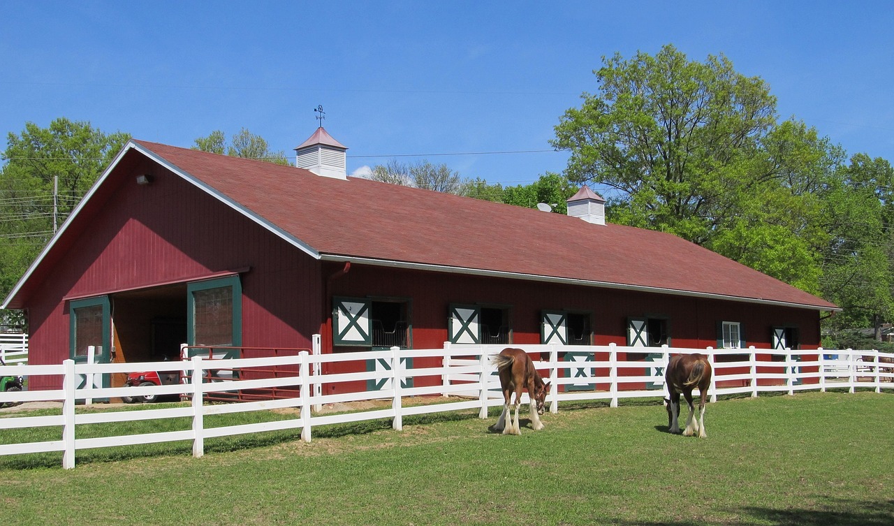 Clydesdales, Corral, Arkliai, Ūkis, Tvora, Tvartas, Barnyard, Paddock, Bėgiai, Valgymas