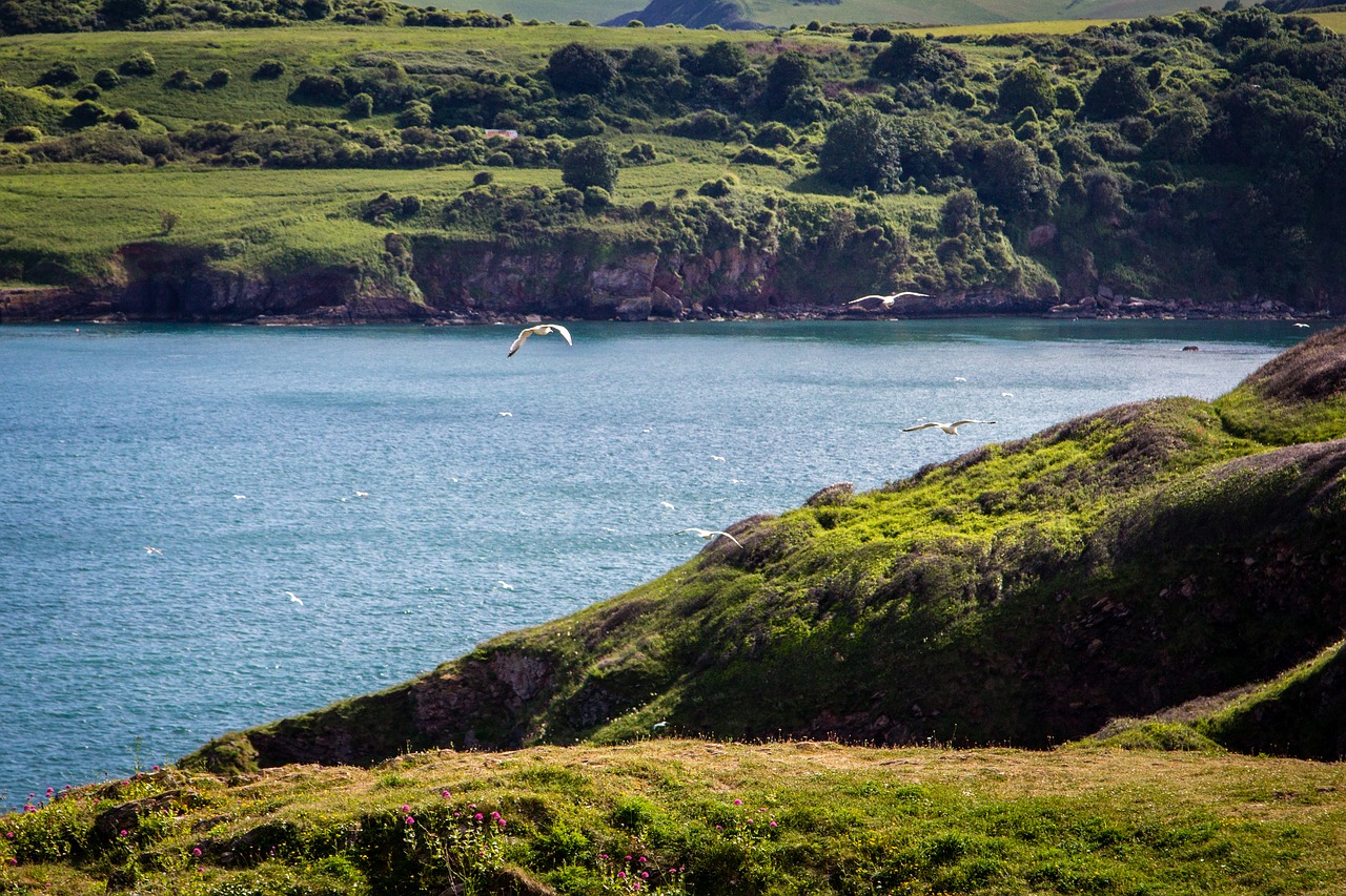 Kranto, Brixham, Devon, Uogų Galvutė, Jūra, Anglija, Uk, Anglų, Vandenynas, Torbay